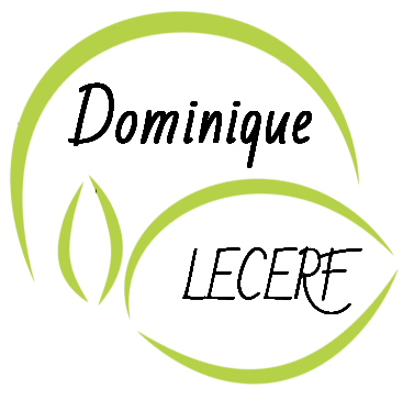 Logo Dominique Lecerf